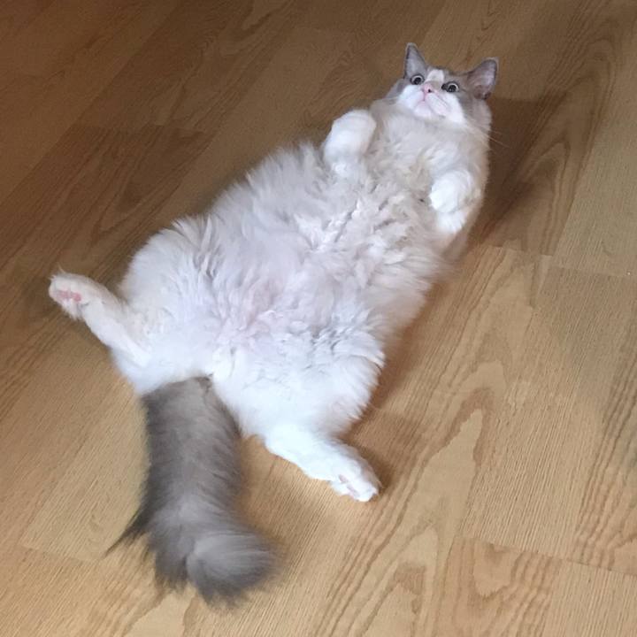 E1703e1c 8335 4384 9d71 57c1309fd6b4 1566283575496