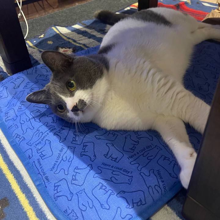 E1707091 c067 42f7 be23 a433cafce532 1688726401987