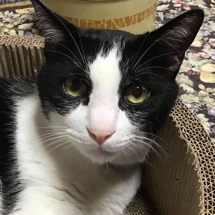 E17075d9 0ae7 4330 96c1 04419843276c 1718695591038