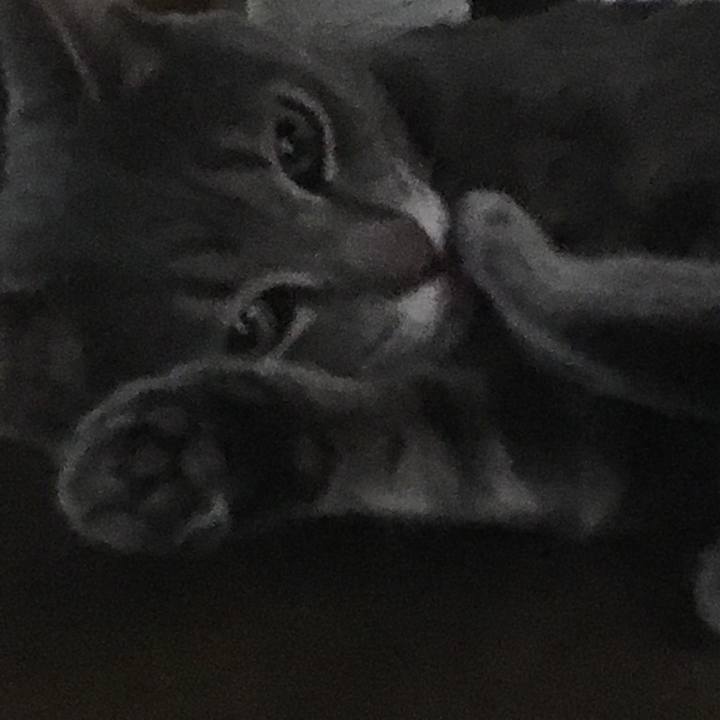 E170a359 e1a2 4d89 ba40 30c3d283cbce 1518965086300