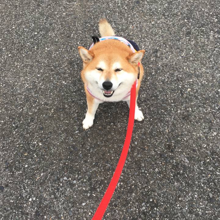 E170bcea 0dea 4b2e b613 b537e39c40c4 1594375295205