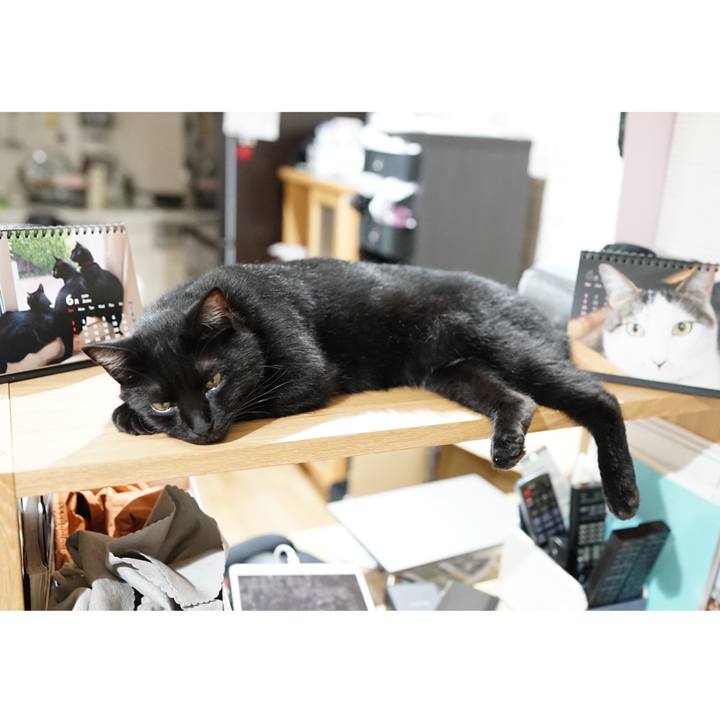 E170ffa3 3299 4b7f 8b0d 43bed7dcb17b 1560126209139