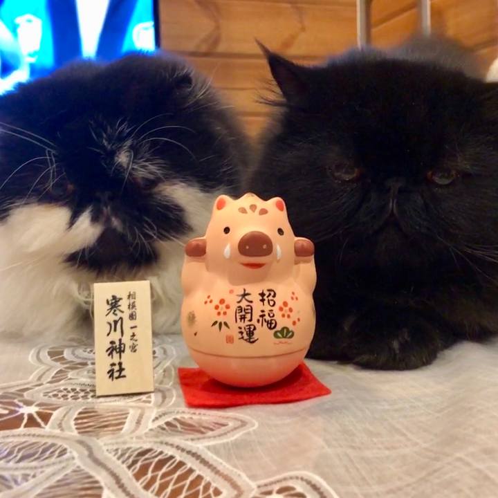 E1714d0b 581a 4fe2 832b 0aaef2f92ccf 1546349826623