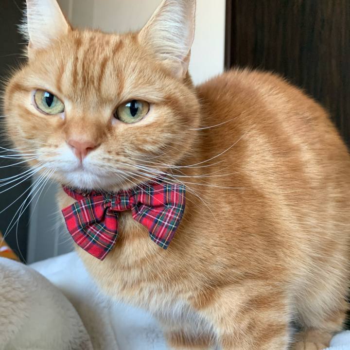 E1714edb 2cdf 4ef1 92fc 42c917c851d8 1637878580082