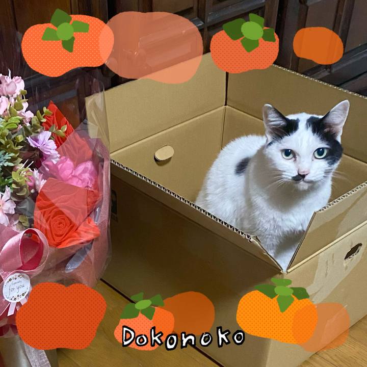 E1716c35 593a 4104 a6e1 6ecbfdbd2ec3 1761612291148