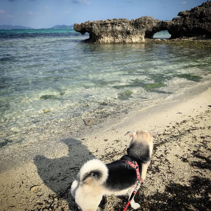 E1717248 bc42 415b bb31 2b7fedb68288 1543565596818