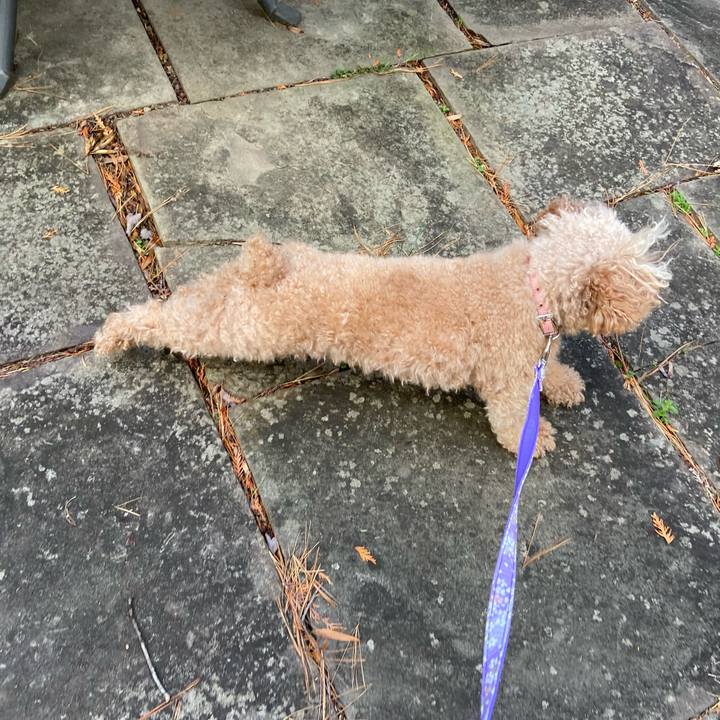 E1718af9 809c 49df a81e c24c51f771a1 1668387288196