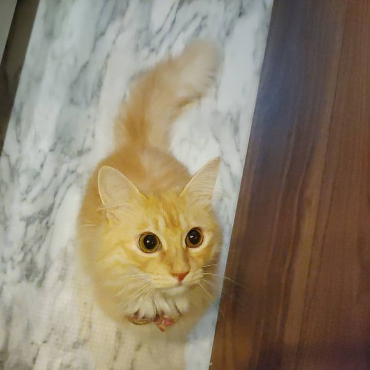 E171af88 c5bd 4eb7 8878 702e8405d4da 1695994978504