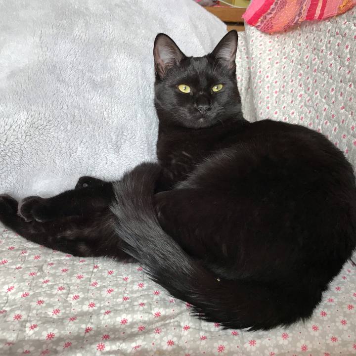 E171d4b8 6d5f 4e0d a9f6 141be1149d43 1577584888544