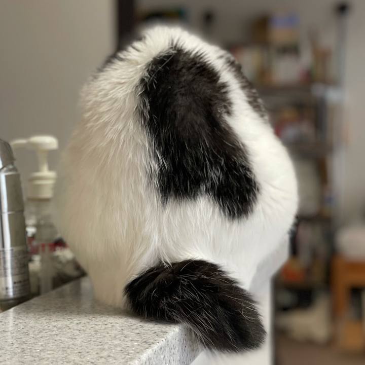 E171e2e2 c791 461e b74d 2d1ee88850c8 1633567235271