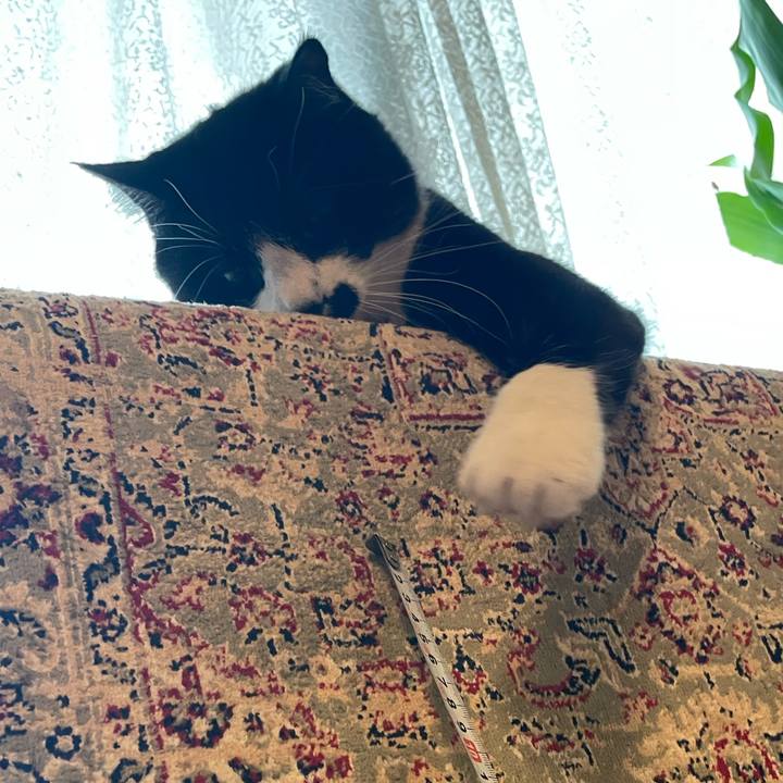 E1723982 943d 43f3 a479 56d70102c461 1752109435192