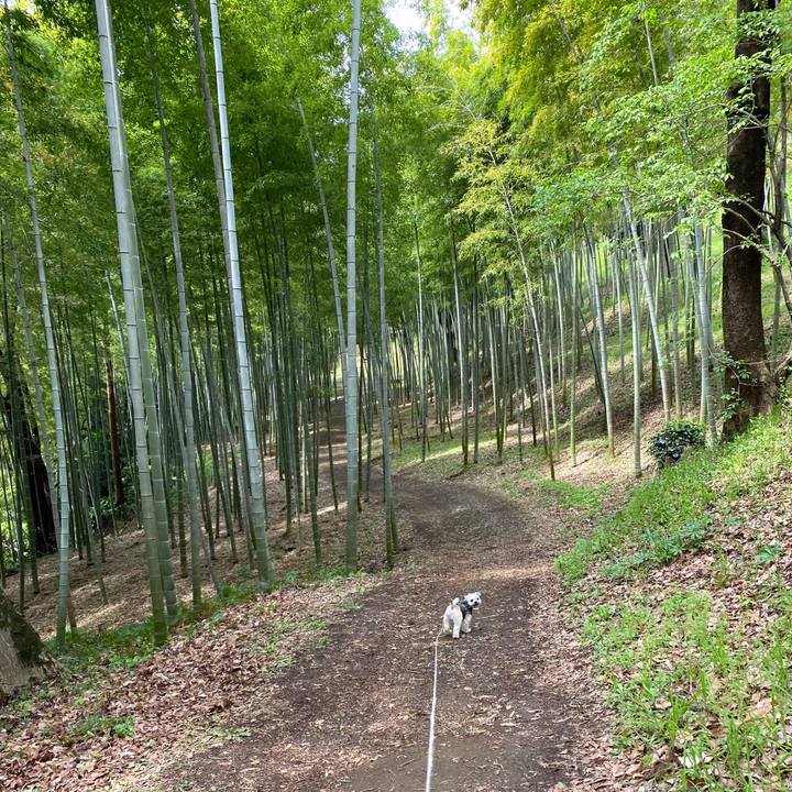 E1725a3a 88b5 4b90 8317 d6f77d12eae4 1585384522940