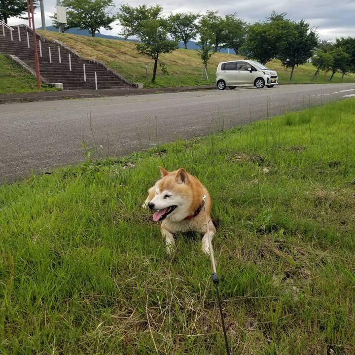 E1727119 e259 4ff1 976f 35554ca3fdea 1719995280633