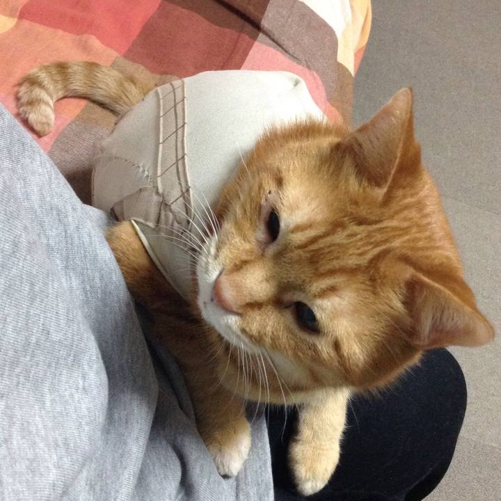 E1727bc7 46d3 47db bed1 8f01862cf594 1681038817310