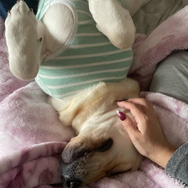 E172b6ea 82e0 4fc5 a39e fc556e6cfa5f 1669172531783