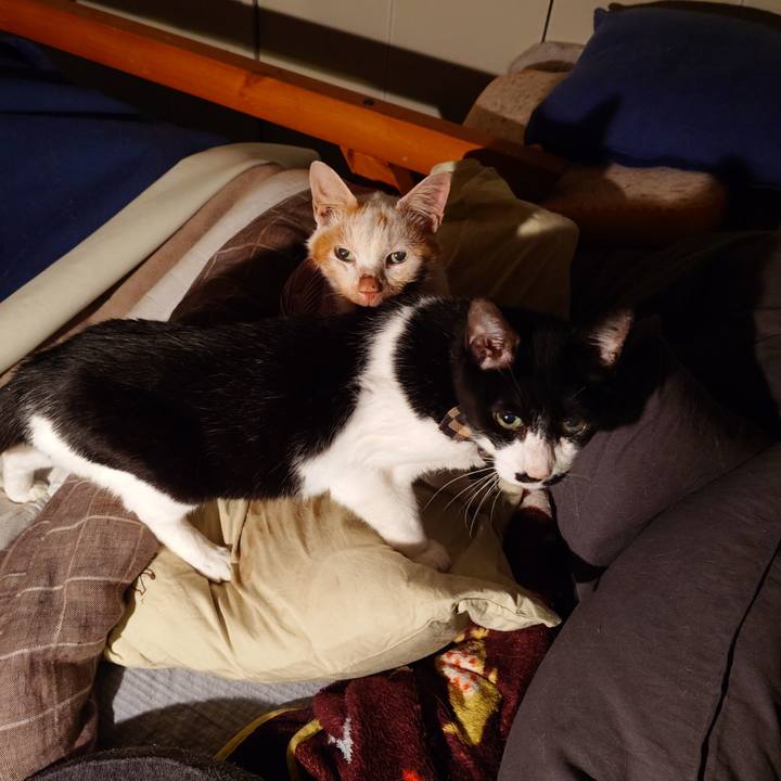 E172e083 ef86 41f0 ada5 8a891a722e29 1773323982973