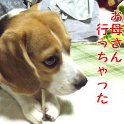 E173303e a2ac 4da5 befd 5da1dcec26b7 1722379507669