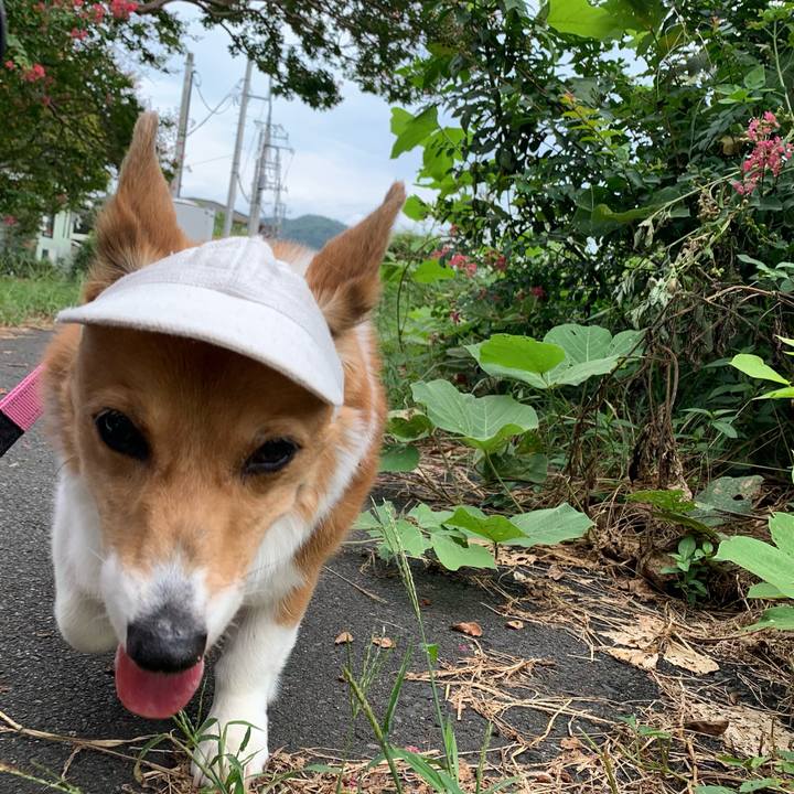 E1733745 f630 4584 9b4e 698e8e45ab75 1695178084794