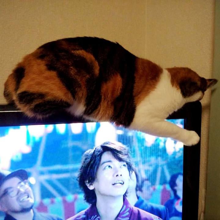 E1735134 5180 49ce af68 61fe35c5c44d 1563190756279