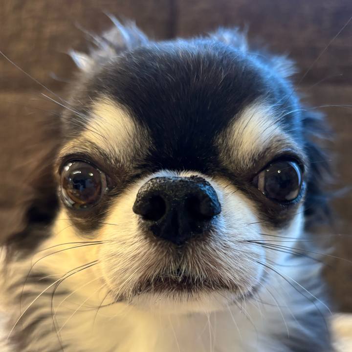 E1735f42 2613 41b0 813a 837170defd13 1754779187262