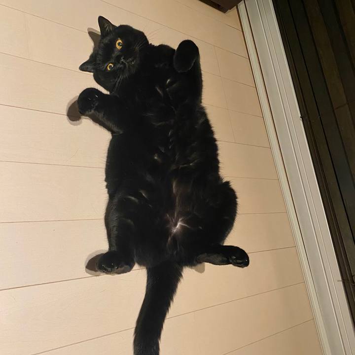 E17365e8 88a3 43aa b6c7 7fc0cec1fd54 1759837375699