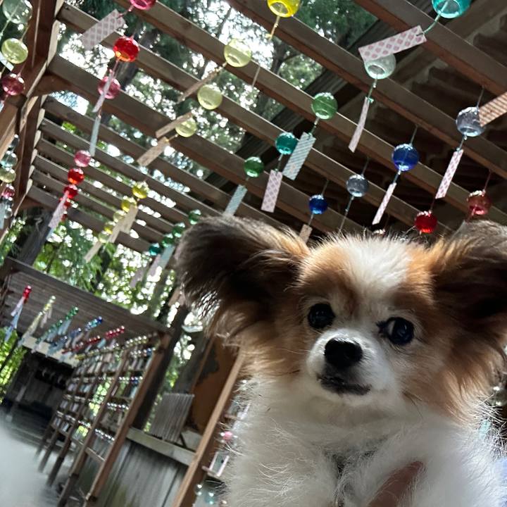 E173a405 aa75 4595 b0ec 8cb919c8c514 1691462402628