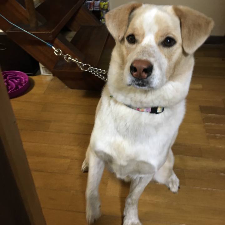 E173b299 0081 4e77 b7bd 6294322c797b 1525644550572