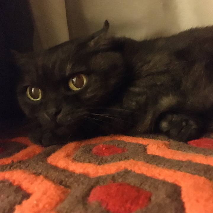 E173dad4 e696 4cb7 904b 120ce279f550 1571239627425