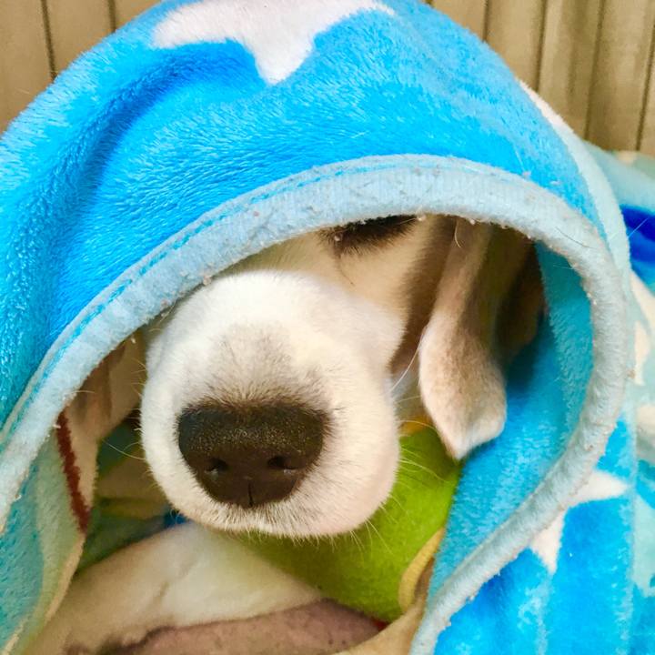 E173e61a 49c8 4646 9081 ffcfdc7f93ed 1773461325506