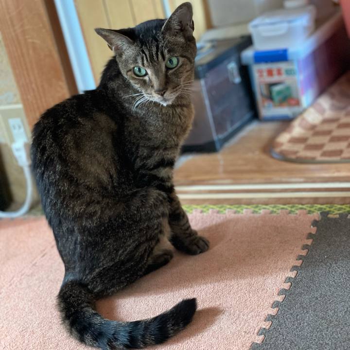 E173ea5a 0b89 4f19 8039 04625b9faff9 1628560238422