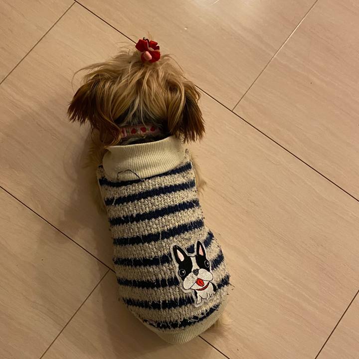 E173fffd 5f11 43f9 bb06 0ad7b1474e27 1608850968922