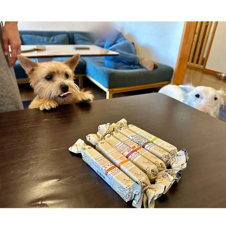 E1741cfa 3009 4cef b417 855ed9ba01b0 1730697148884