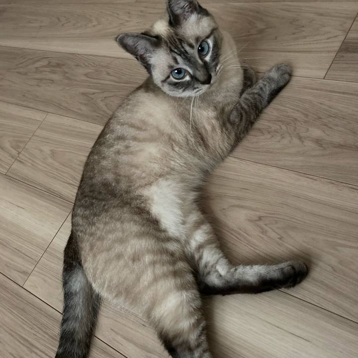 E1741e87 7e5c 4dba a838 de4b0720229a 1626076659873