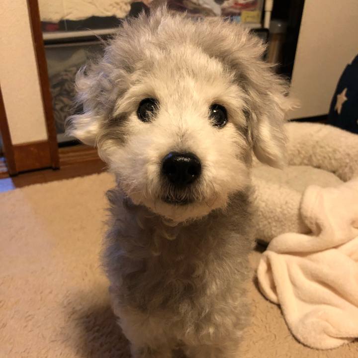 E1743425 ecb7 42d0 929c 46f56032db09 1587639993514