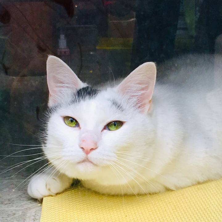 E1746081 cbb0 4cc3 89be efb7502ae6e0 1565316976101