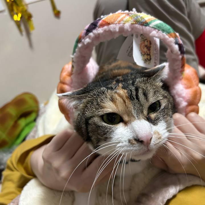 E1748e94 2531 4fb8 89c6 3595096d4e3d 1763414791508