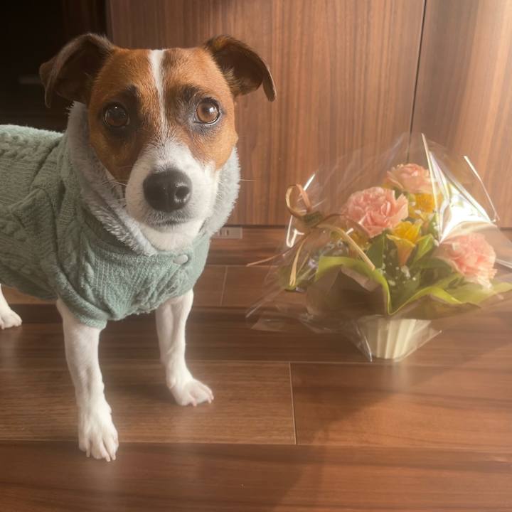 E1749768 70e9 4661 9da0 229801bed46a 1642723664013