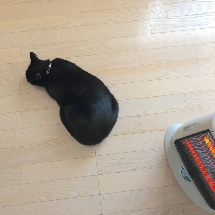 E174d316 aea6 4ae8 8ab3 c90bcec73756 1512876173310