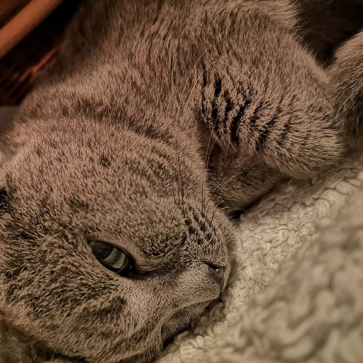 E1751ed0 cbb5 4f89 a1c4 46ff4ee7f536 1599393724990