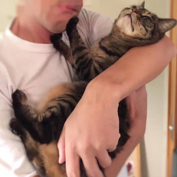 E17530f4 a270 4d0e 87d7 beec01ae3396 1768747277582