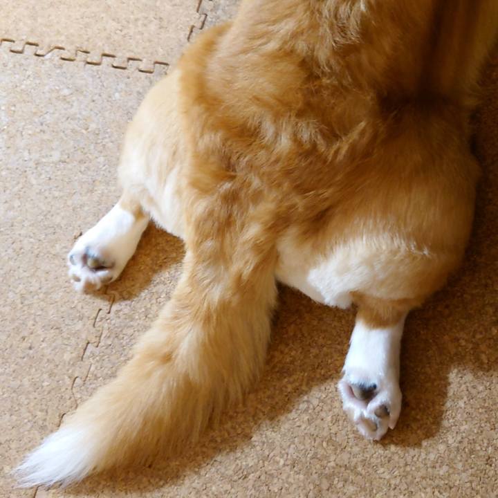 E17537a3 e24c 40ae 9c37 4608fa7568e9 1768797757289