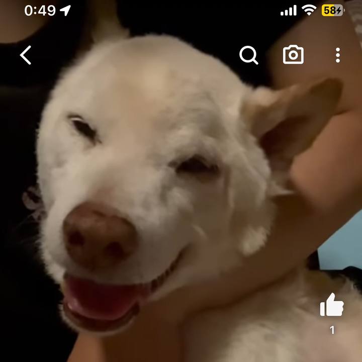 E17546c3 574f 4c6e 8cdc ef6af0b2aa57 1689436209275