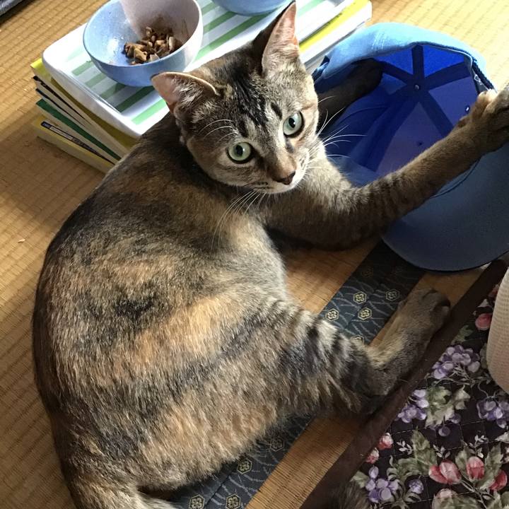 E175520d bbe8 4eff bc19 c4b286c86bc8 1591234300820