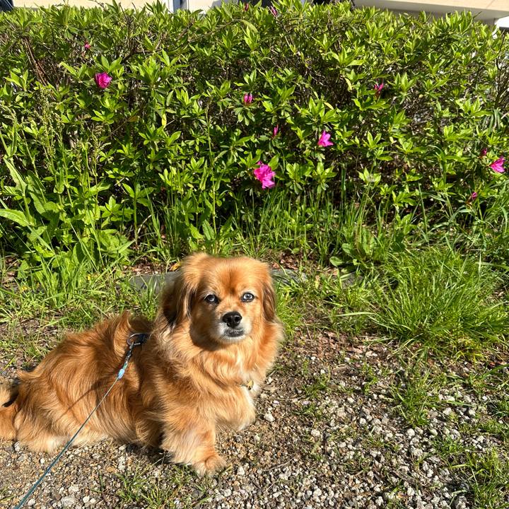 E17586e6 aa7c 4522 baa3 16f2f0888776 1713055925949