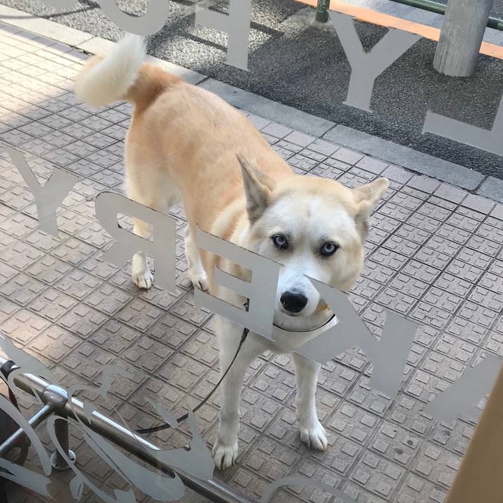 E175adec 513c 4806 b0ae 907e5ed4893e 1548747852637