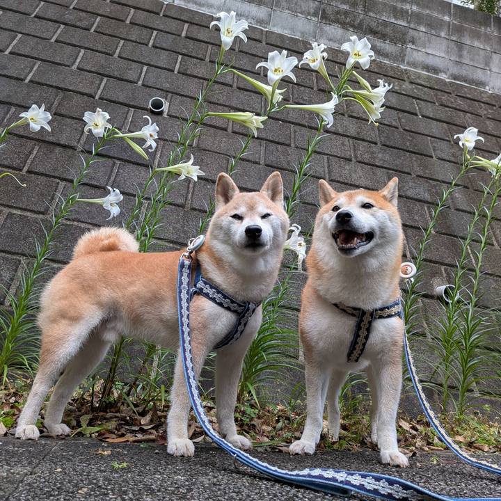 E175b570 f681 44a2 a774 e5b73198b1a3 1755059532273