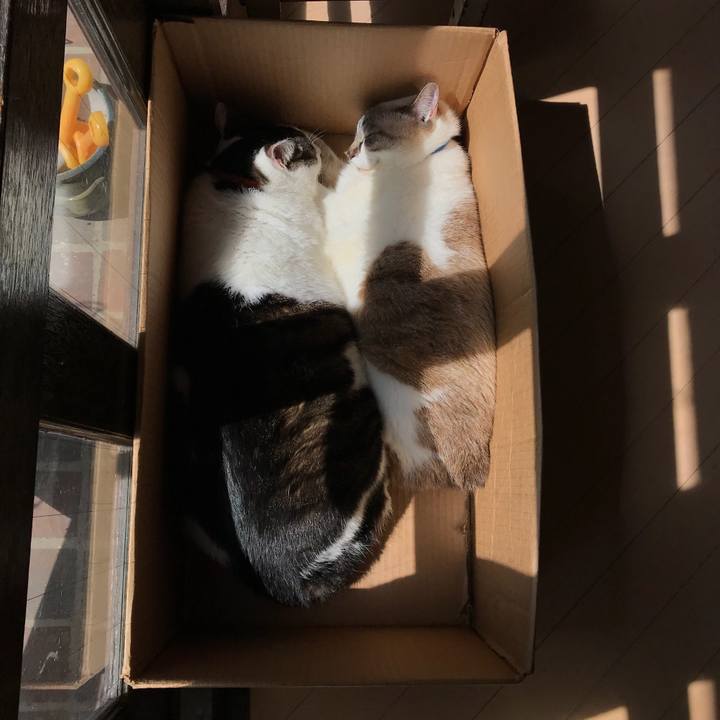 E175bbd6 9683 4b69 aff7 159134b2603d 1523422286623