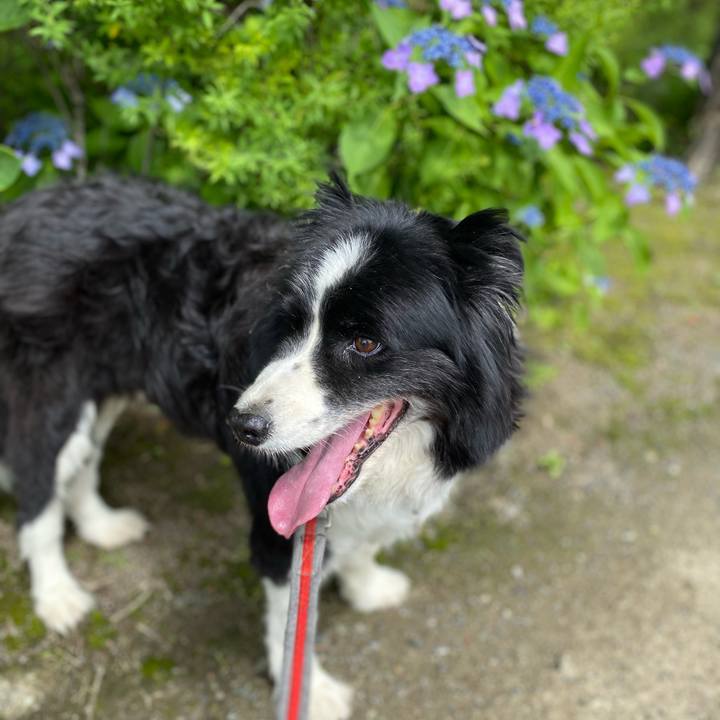 E175c227 a690 440f 88af 6909f6c4845b 1686445531481