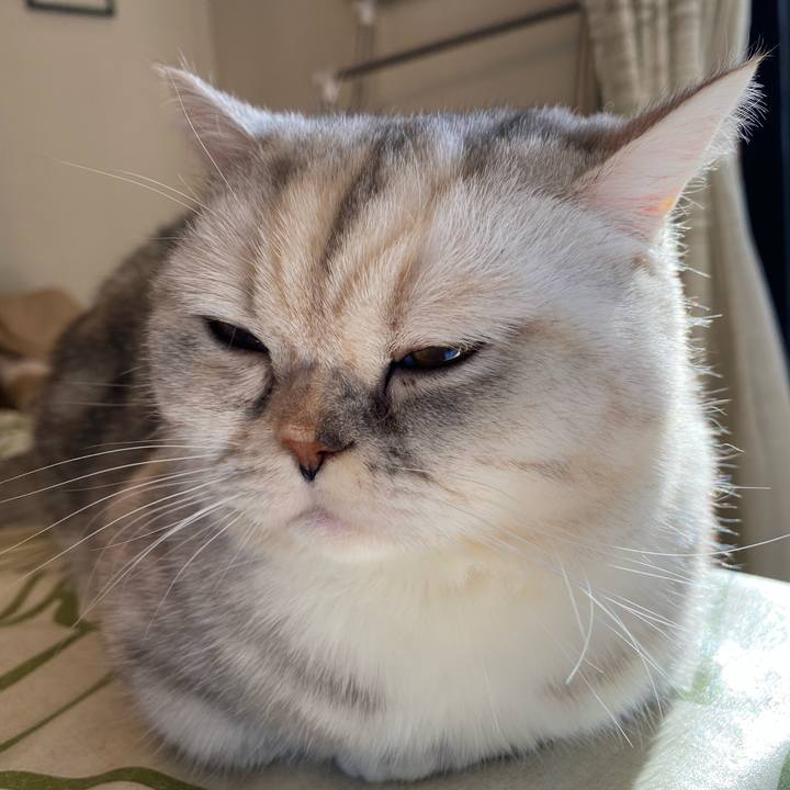 E175dbe5 51d1 4e67 b844 9b1651052748 1739577298079