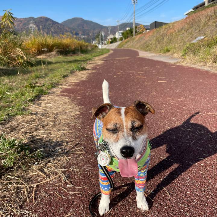 E175dfa9 f4df 46c1 92eb aa5be3f6b03c 1763277023141